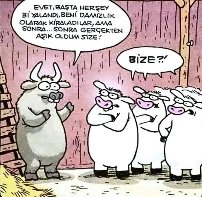 Sevgilinize karşı aşkınız bitince nasıl anlıyorsunuz umursamaz falan mı davranmaya başlıyorsunuz?