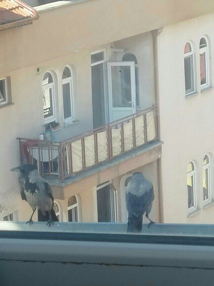 Evimizin manzarası nasıl sizce?
