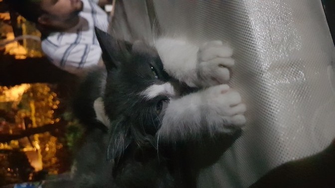 Hayatımda biraz aksiyon olsun istiyorum, ne yapsam?
