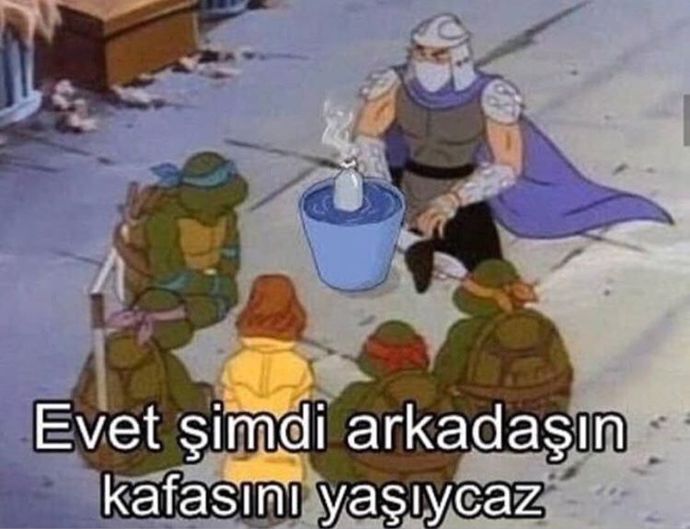 Kizlarin bu trans erkeklerde ne buldugunu anlamiyorum neden seviyosunuz onlari?