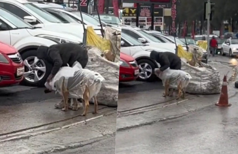 Yağmurdan ıslanmasın diye sokak köpeğine naylondan yağmurluk! Böyle insanları görünce hayata dair umutlanıyor musunuz?