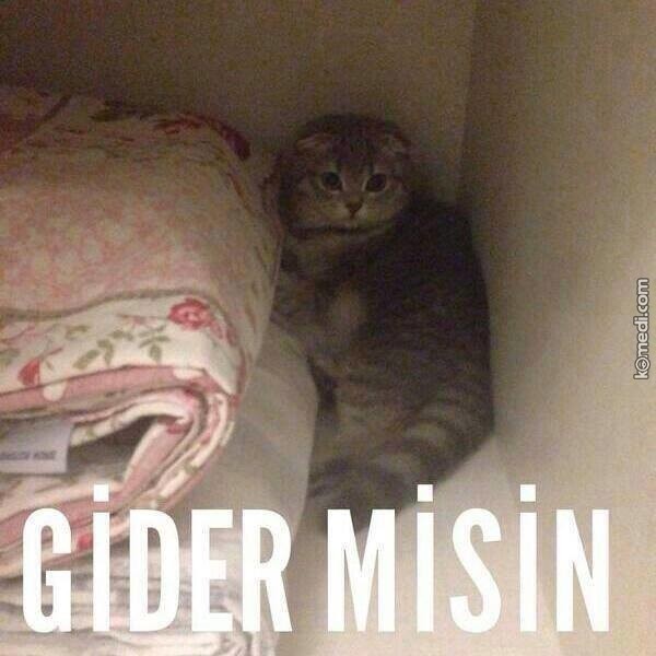 Senin trip cümlen ne?
