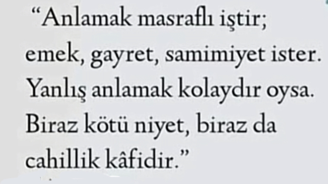 Anlaşılmadığınızı ya da yanlış anlaşıldığını düşündüğünüz zamanlar oluyor mu?