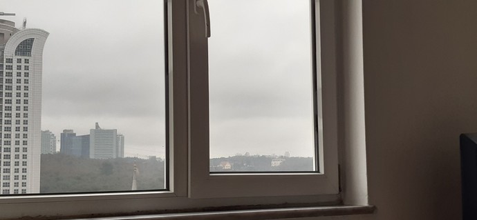 Antalya'da sahile inen domuz, uzun süre denizi izlemiş. Siz de bu kadar dertli misiniz :D?