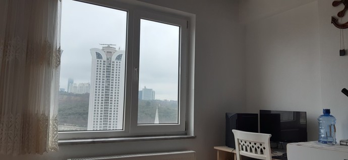 Antalya'da sahile inen domuz, uzun süre denizi izlemiş. Siz de bu kadar dertli misiniz :D?