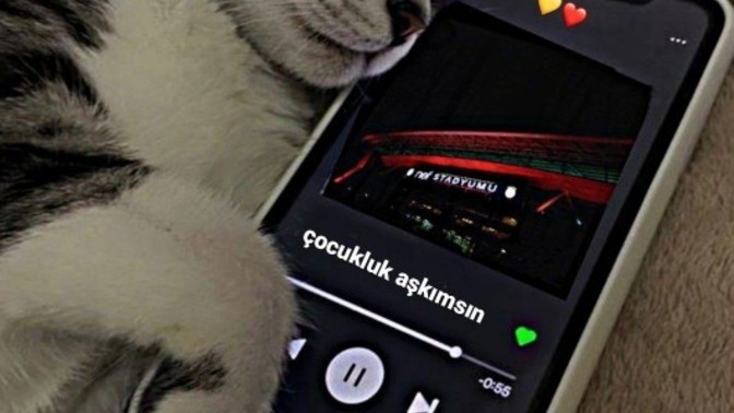 Futbol taraftar şarkılarını beğeniyor musunuz?