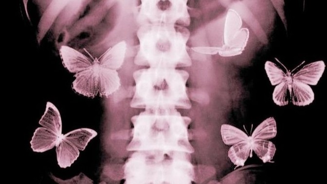 En son ne zaman midenizde kelebekler uçuştu 🦋?