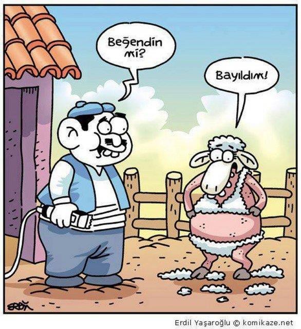 Karikatürler ile aranız nasıl?
