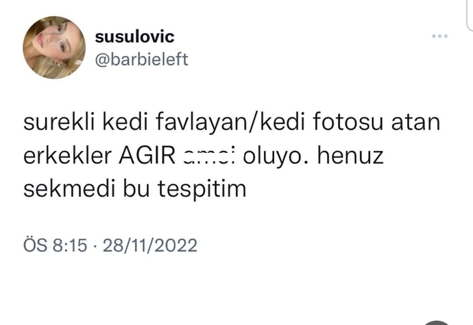 Kedi videoları izleyen insandan zarar gelir mi 🤔?
