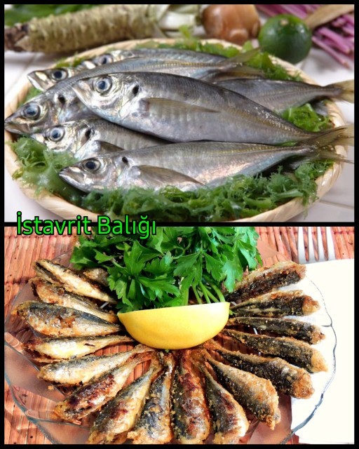 En sevdiğiniz balık türleri hangileri?
