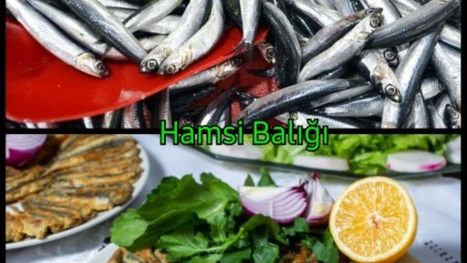 En sevdiğiniz balık türleri hangileri?