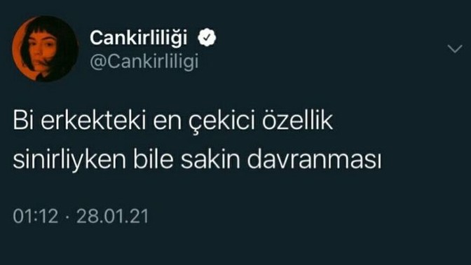 Size çekici gelen karşı cins davranışları nelerdir?
