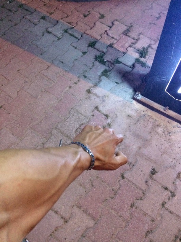 Gece gece acıktım. Kendime sandviç yaptım. Sizlere de yapayım mı?