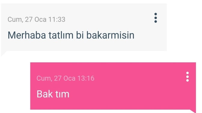 Bu neyin kafası sizce?