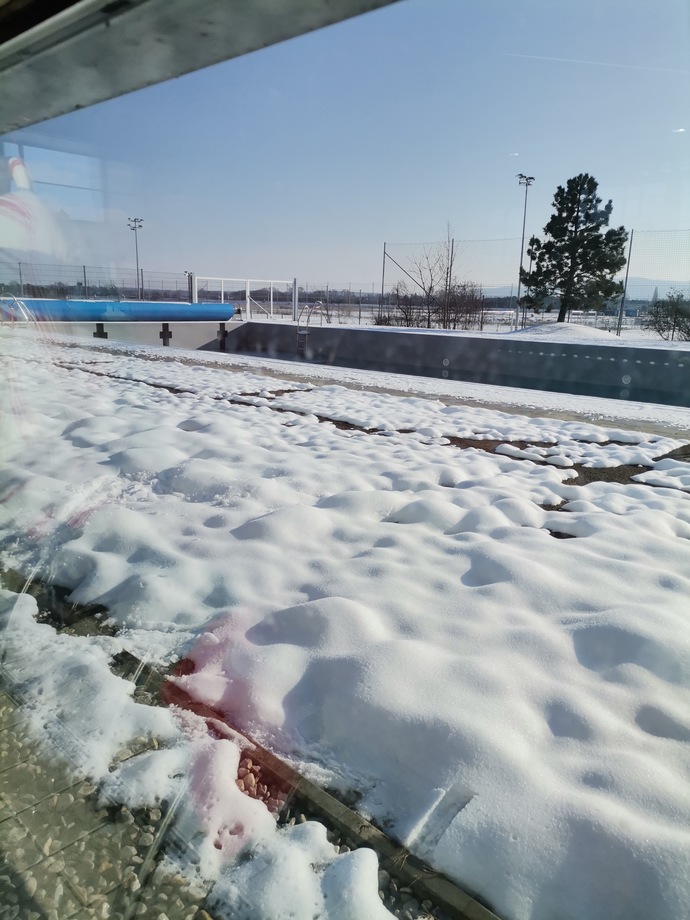Disarisi ❄️