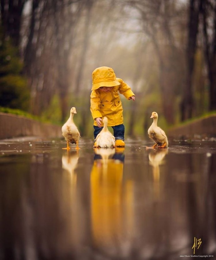 🐣