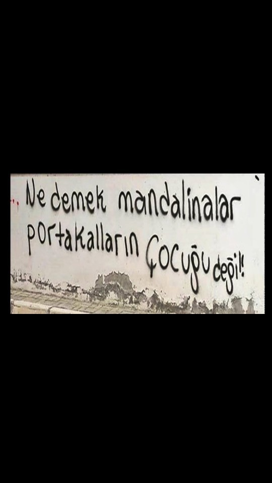 Mandalinalar portakalların çocuğu mudur?