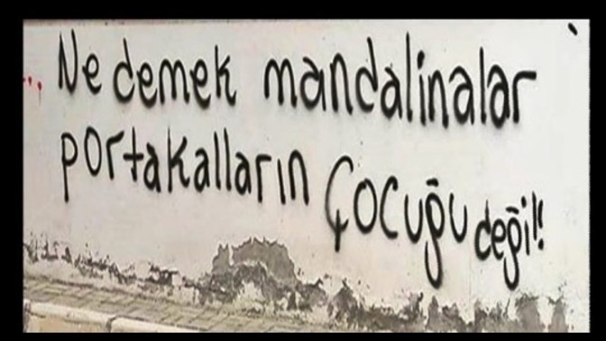 Mandalinalar portakalların çocuğu mudur?