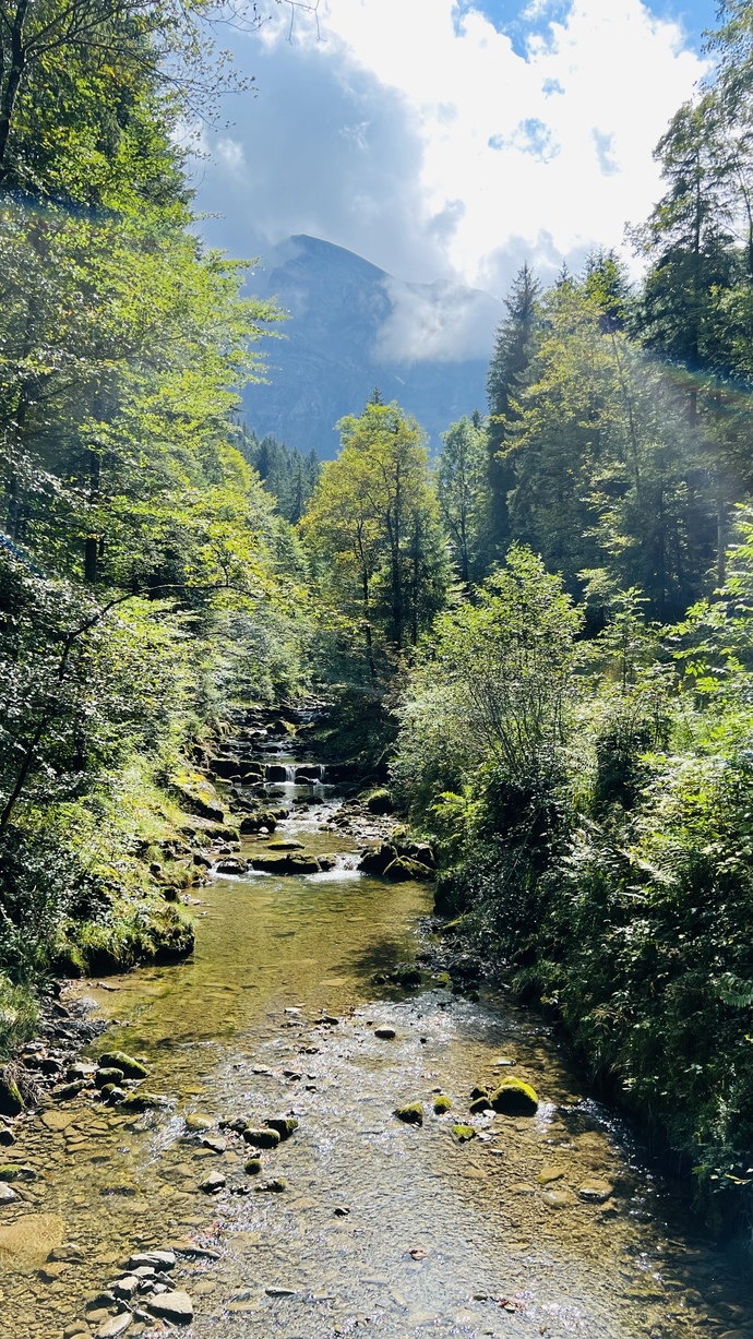 Güzel fotoğraf çekebiliyor musunuz?