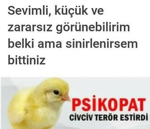 İyi geceler naber?