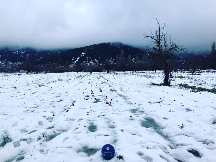 Bu kar manzaralı evde olmak ister miydiniz?