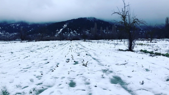 Bu kar manzaralı evde olmak ister miydiniz?