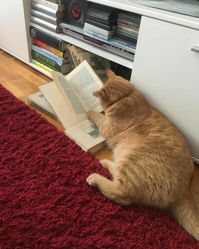 Şu an okuduğunuz kitabı sizin yazmış olduğunuzu varsayalım. Hangi kitabın yazarı oldunuz 🤓?