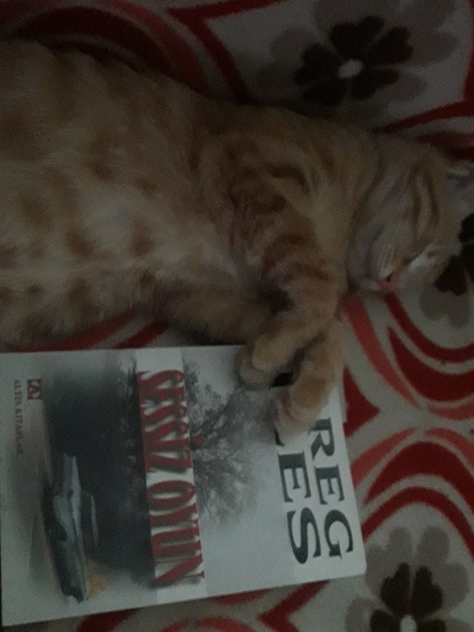 Şu an okuduğunuz kitabı sizin yazmış olduğunuzu varsayalım. Hangi kitabın yazarı oldunuz 🤓?