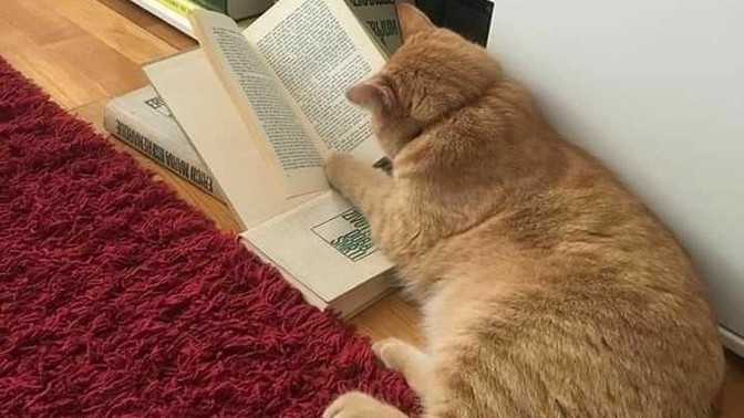 Şu an okuduğunuz kitabı sizin yazmış olduğunuzu varsayalım. Hangi kitabın yazarı oldunuz 🤓?