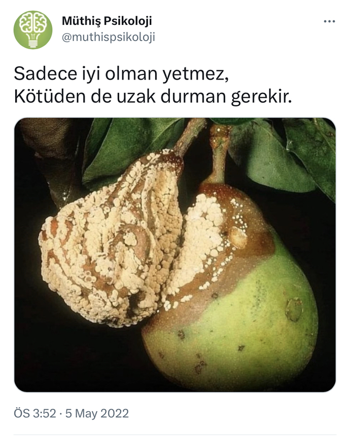 “Sadece iyi olman yetmez; Kötüden de uzak durman gerekir...” sözüne katılıyor musunuz?