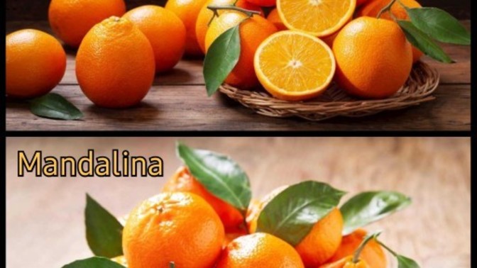 Portakal mı? Mandalina mı?
