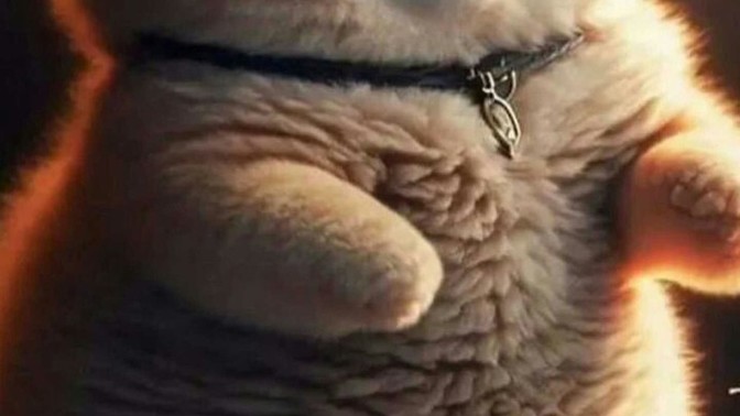 Arkadaşlar bu işaret ne?