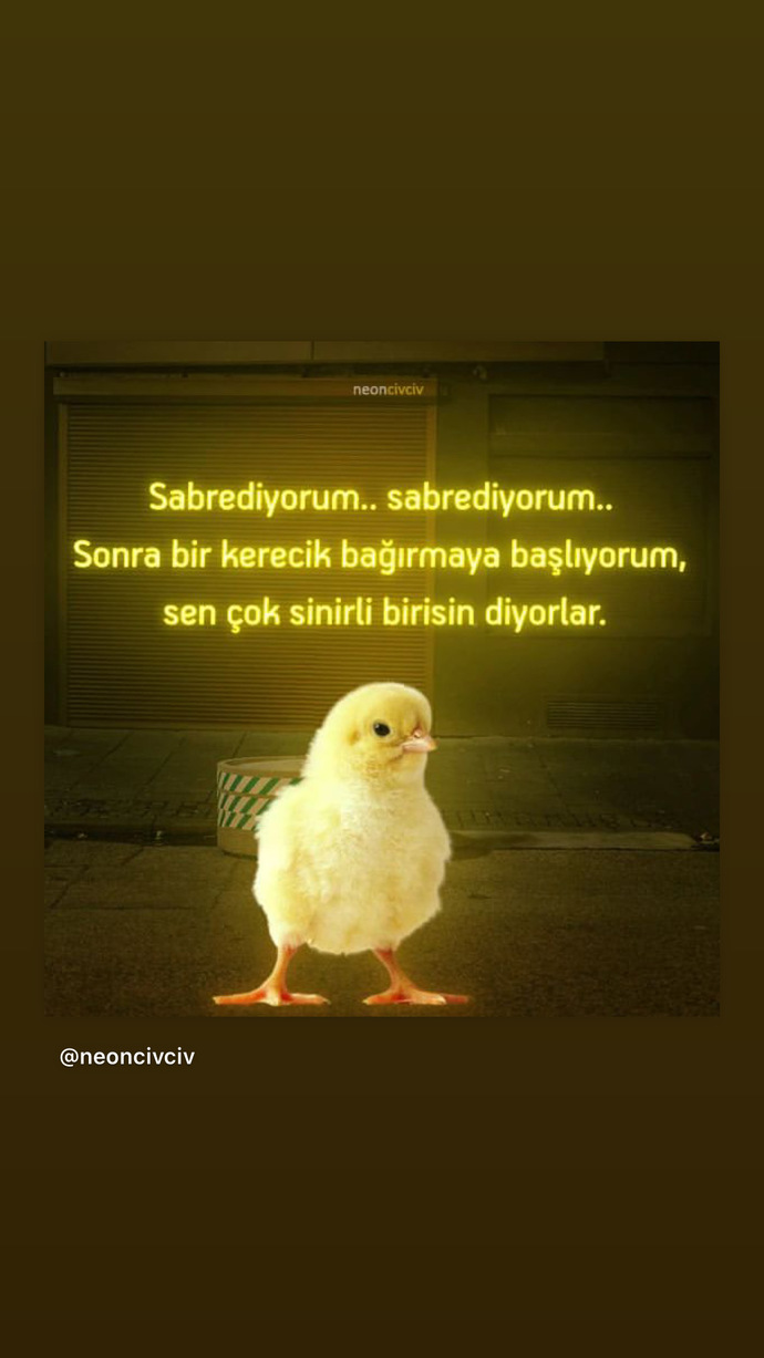 Sinirli sanıyorlar durum bu 😃