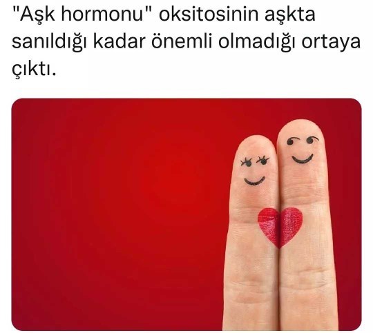 İsviçreli bilim insanları Oksitosin in aşkta o kadar da önemli olmadığını keşfetmiş, sizce Aşkta en belirleyici etken nedir?