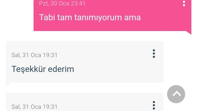 Bu kadar dürüstlük iyi mi sizce?