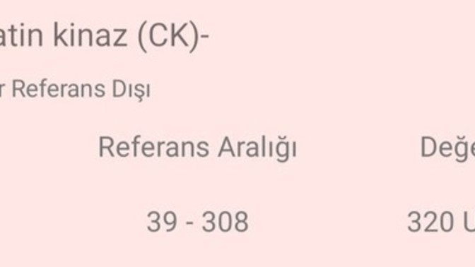Allah aşkına anlayan birisi fotoğrafa baksın?