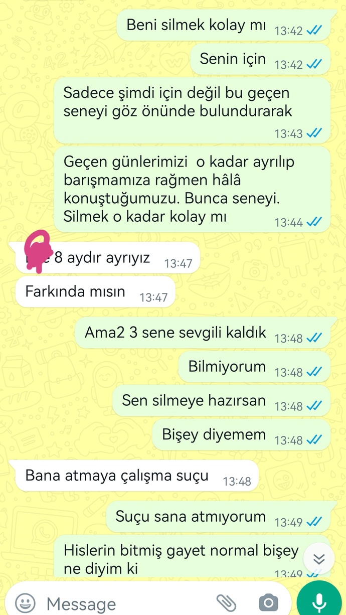 Eski sevgilim ne yapmaya çalışıyor? Konuşmalara bakar mısınız?