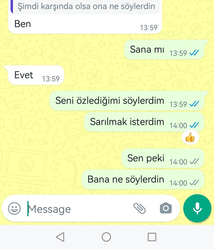Eski sevgilim ne yapmaya çalışıyor? Konuşmalara bakar mısınız?