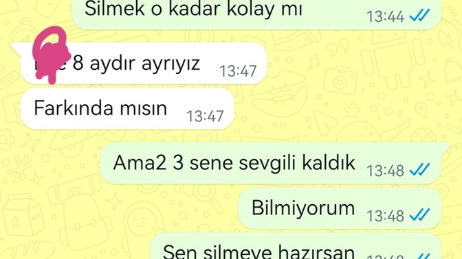 Eski sevgilim ne yapmaya çalışıyor? Konuşmalara bakar mısınız?