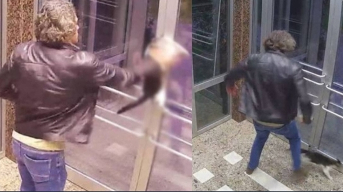 Hayvanları seviyor musunuz? Böyle saldırganları görünce nasıl tepki verirsiniz?