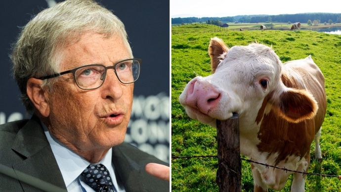 Bill Gates, salgıladığı metan gazı yüzünden ineklerin gaz çıkarmasına karşı harekete geçti! Sizce inek gazı bu kadar zararlı olabilir mi?