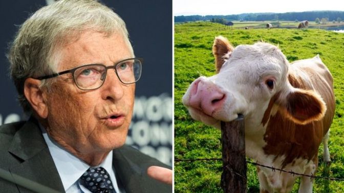 Bill Gates, salgıladığı metan gazı yüzünden ineklerin gaz çıkarmasına karşı harekete geçti! Sizce inek gazı bu kadar zararlı olabilir mi?