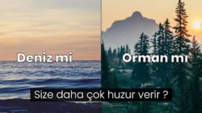 Size deniz mi daha çok huzur verir, orman mı?