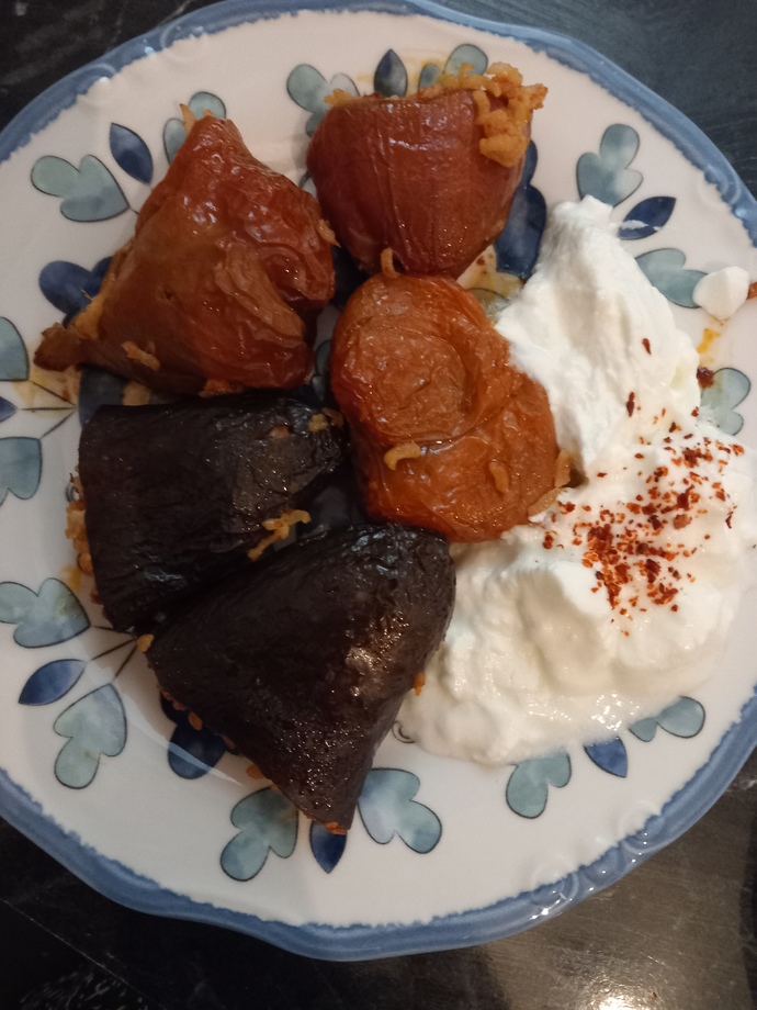 Kuru dolmalıkları sever misin, ben kuru biber dolmasına bayılıyorum?