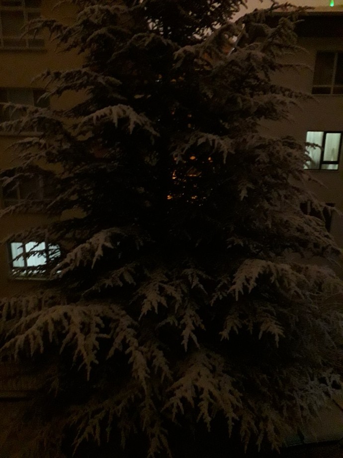 Beklenen kar geldi, beklenen yâr nerde?