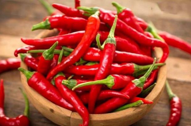 Acı lezzet, kimilerinin uzak durduğu tat olsa da, kimileri için zevktir 🌶