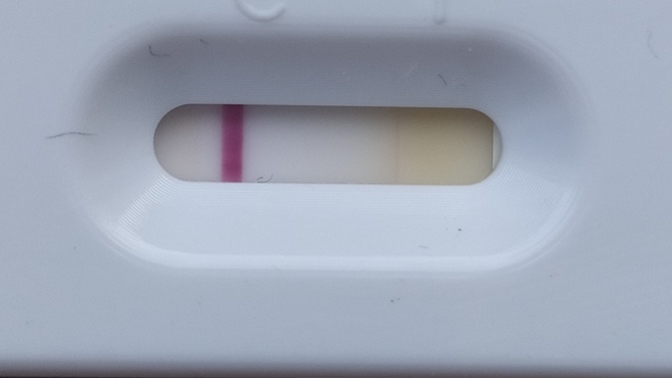 Kızlar, pozitifmi? anlamadım. Pozitifse sizce sevgililer günününde eşime sürprizmi yapsam?