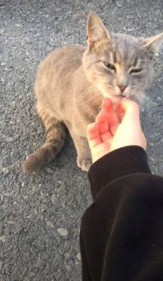 En son kimin fotoğrafını çektiniz?
