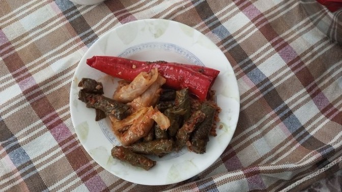 Dolma yemeğini kuru olarak mı, yoksa normal olarak mı seversiniz?