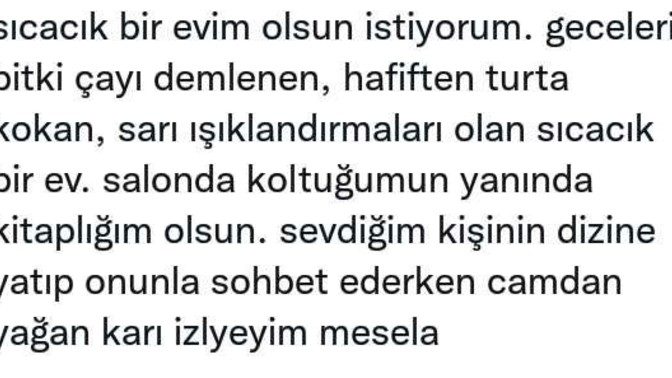 Hayali bile güzel değil mi?